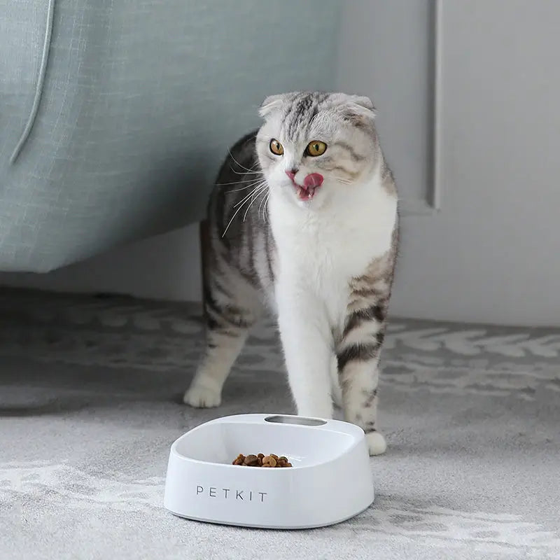 Petkit Smart Digital Feeding Bowl