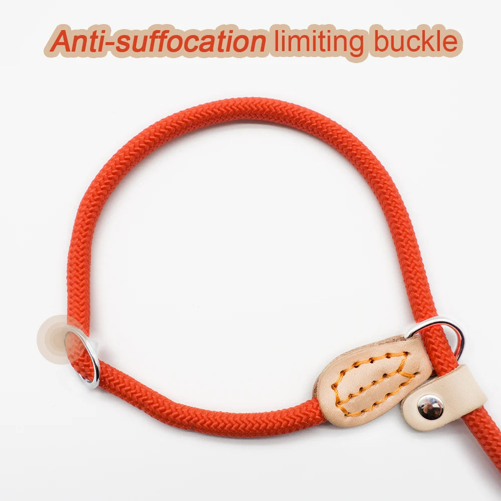 Rope Slip Dog Leash