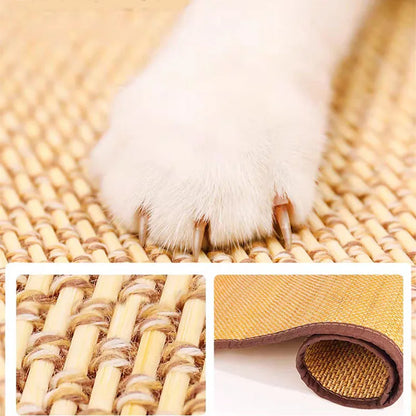 Cat Scratch Mat Protector