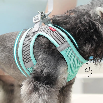 Breathable Dog Harness