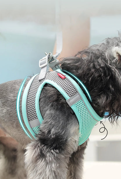 Breathable Dog Harness