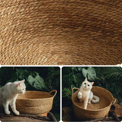 Rattan Pet Bed