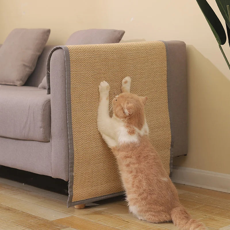 Cat Scratch Mat Protector